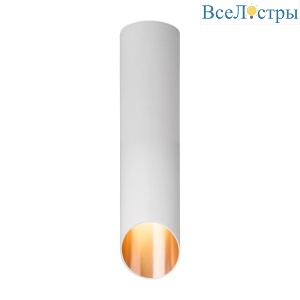 Потолочный светильник Elektrostandard DLN115 GU10 белый/золото 4690389151187