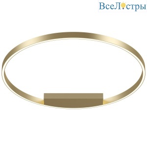 Потолочный светодиодный светильник Maytoni Rim MOD058CL-L50BSK