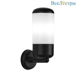 Уличный настенный светильник Escada 30005W/01