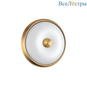 Настенно-потолочный светильник Odeon Light Pelow 4956/2