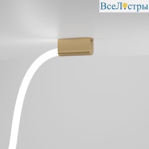 Накладное крепление Elektrostandard Full Light FL 28101 4690389216954 a070760