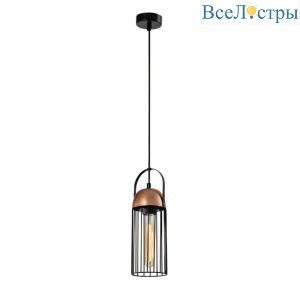 Подвесной светильник Rivoli Anemon 5062-201 Б0047359