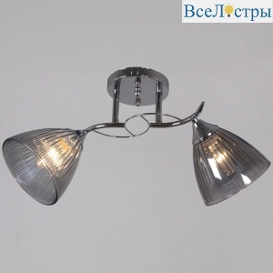 Потолочный светильник Reluce 12560-0.3-02 CR