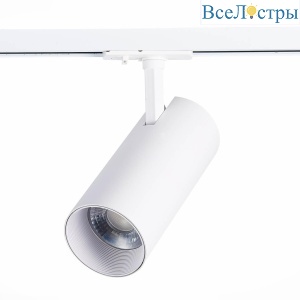 Трековый светодиодный светильник ST Luce Mono ST350.546.30.36
