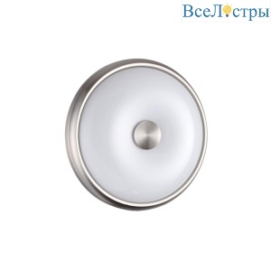 Настенно-потолочный светильник Odeon Light Pelow 4957/2