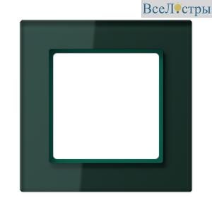 Рамка одноместная Jung AC581GLSG