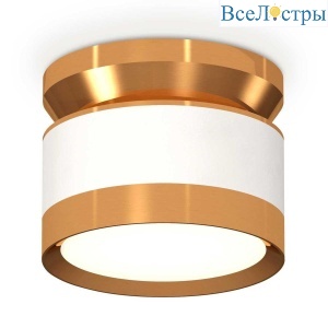 Комплект накладного светильника Ambrella light Techno Spot XS (N8909, C8101, N8124) XS8101060