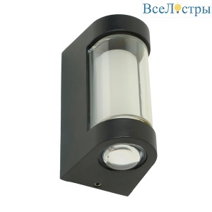 Уличный настенный светильник Feron Челси DH056 51493