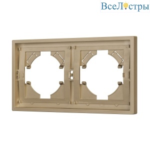Рамка пластиковая на 2 поста Arlight FRM-TENDO-SFPL-2-GD 054647