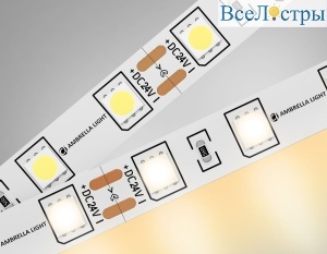 Светодиодная лента Ambrella Light Illumination 24В 5050 14,4Вт/м 3000K 5м IP20 GS4001