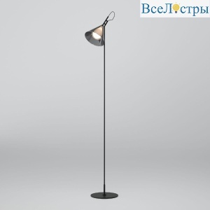 Торшер Eurosvet Enigma 01187/1 черный a069053