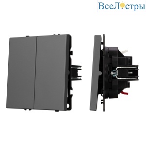 Механизм выключателя двухклавишный непроходной Arlight SWT-NOBE-MK02-SFPL-GR (230V, 10A) 054254