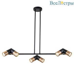 Подвесная люстра Indigo Doppio 11036/6R Black V000452