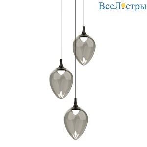 Подвесной светильник Delight Collection MD24001012-3A black/smoky