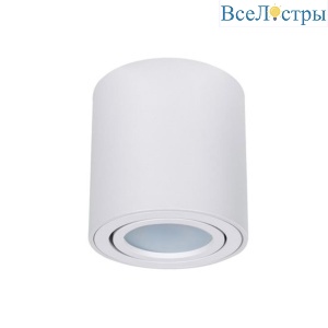 Потолочный светильник Arte Lamp Beid A1513PL-1WH