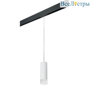Трековый светильник Lightstar Rullo (214486+595857+202431) PRORP48631