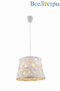 Подвесной светильник Toplight Patricia TL1122-1H