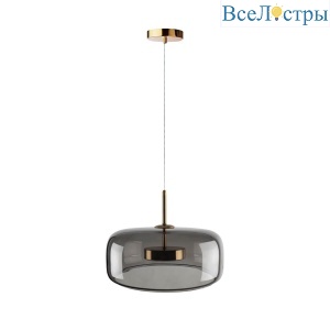 Подвесной светодиодный светильник Loft IT Dauphin 10041B