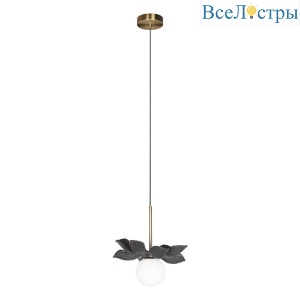 Подвесной светильник Loft IT Monro 10213/B Black
