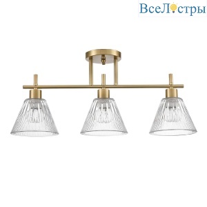 Потолочный светильник Lumion Vivian 8188/3C
