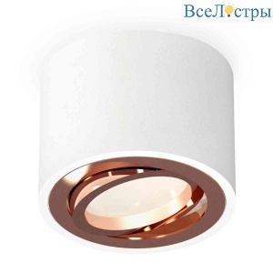 Комплект накладного светильника Ambrella light Techno Spot XS7510005 SWH/PPG белый песок/золото розовое полированное (C7510, N7005)
