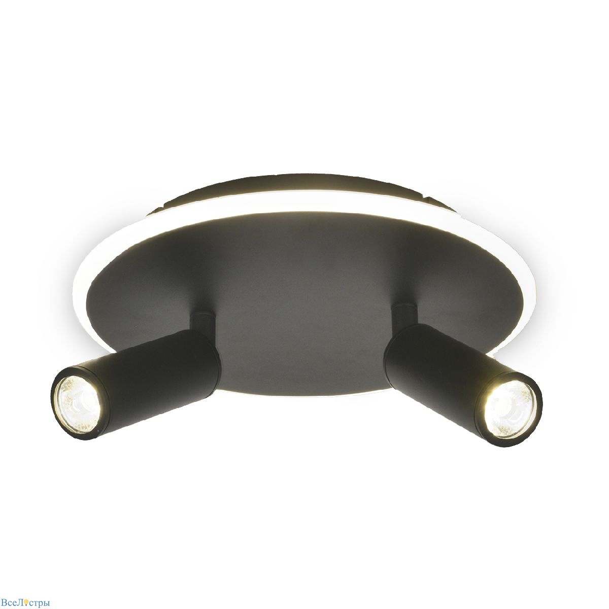 настенно-потолочный светильник escada 20046sma/02led bk
