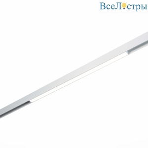 Однофазный магнитный трековый светильник ST Luce Skyline 48 ST360.546.20
