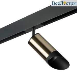 Трековый светильник Lightstar Rullo (214431+595057+201437) PRO43137