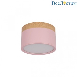 Накладной светодиодный светильник Loft IT Grape 10162 Pink