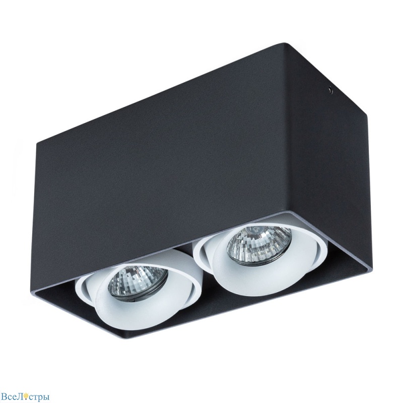 потолочный светильник arte lamp pictor a5654pl-2bk