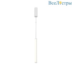 Подвесной светильник Maytoni Supersymmetry P096PL-L11WK1
