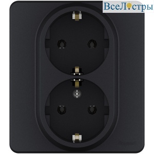 Розетка двойная с/з Legrand Inspiria 673753
