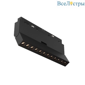 Трековый магнитный светильник Maytoni Points Rot TR033-2-12W2.7K-B