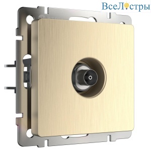 ТВ-розетка оконечная Werkel шампань рифленый W1183010 4690389160639
