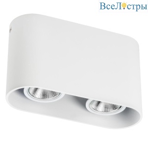 Потолочный светильник Lightstar Rullo 214866