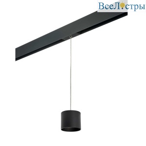 Трековый светильник Lightstar Rullo (213487+595887) PRORP3487