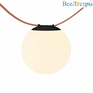 Трековый светильник Denkirs BELTY ORB DK5552-BK