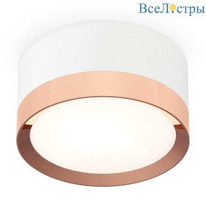 Комплект накладного светильника Ambrella light Techno Spot XS (C8101, N8126) XS8101006