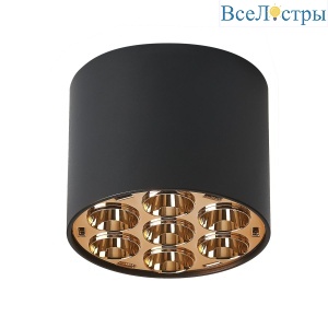 Потолочный светильник Lightstar Guarda 080642