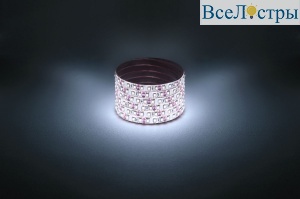 Светодиодная лента Эра 12В 2835 9,6Вт/м 6500K 5м IP65 LS2835-9,6-120-12-6500K-IP65-1 year-5m Б0035599