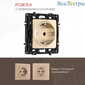 Розетка с заземлением и шторками Arte Milano 217.40-1.shampan