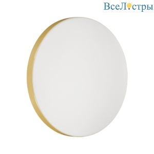 Настенно-потолочный светильник Sonex Smalli 3066/AL