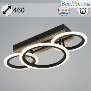 Потолочный светильник Reluce 00330-0.3-2+1