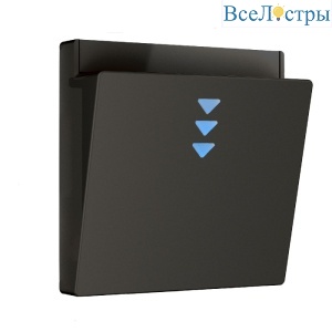 Накладка для электронного карточного выключателя Werkel 4690389190292 W1163108 a062006