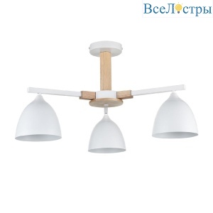 Люстра на штанге Lumion Colange 8095/3C