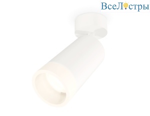 Спот Ambrella Light Techno Spot XM6322011 (A2202, C6322, N6248)