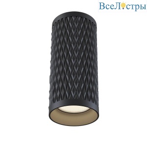 Накладной светильник Maytoni Alfa C036CL-01B