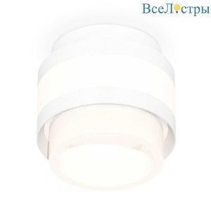 Комплект накладного светильника Ambrella light Techno Spot XS (C8418, N8401) XS8418001