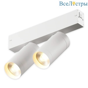 Трековый однофазный светильник AM Group AM528 WH-220V-2X10W SMART