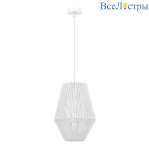 Подвесной светильник Evoluce Ettan SLE6025-513-01